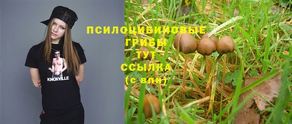 стафф Верхнеуральск