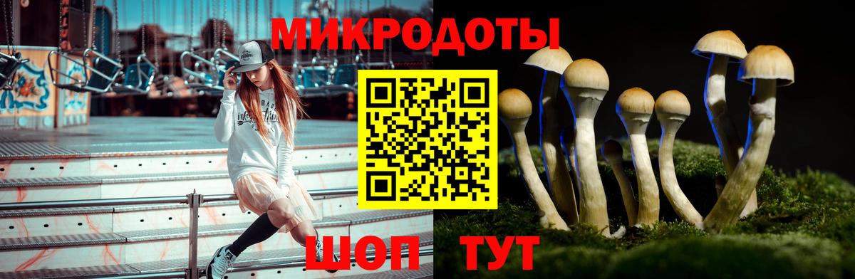 Псилоцибиновые грибы Cubensis Северобайкальск